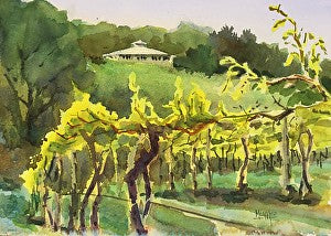 Norton Vines At The Vineyard